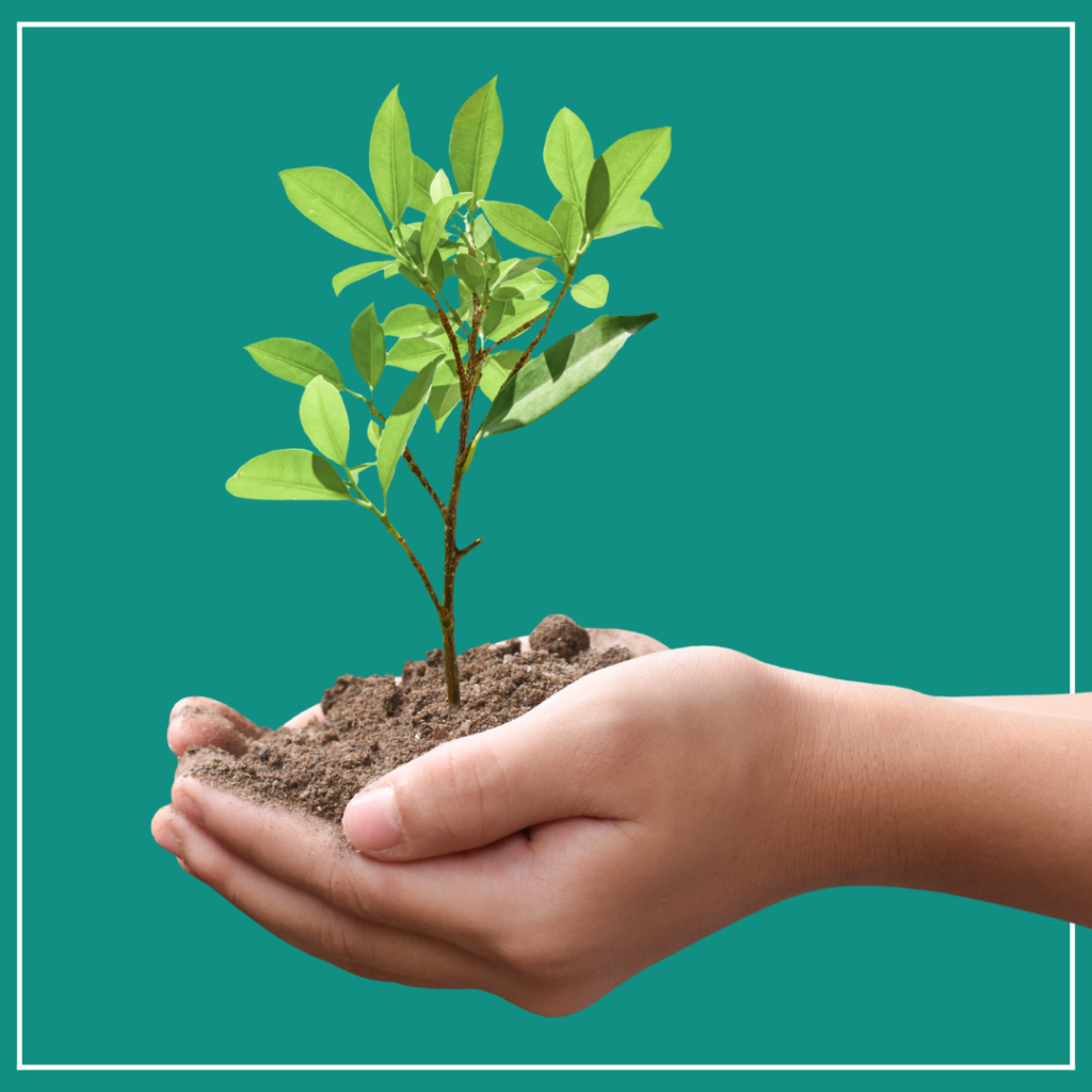 Free Trees